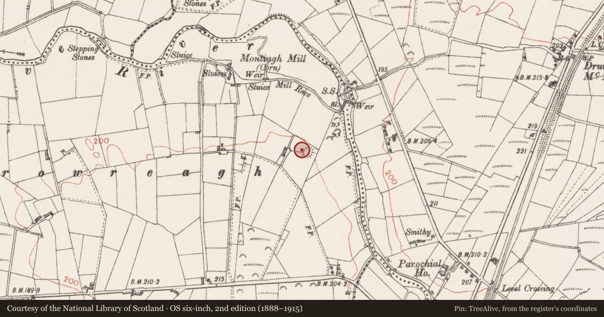 Ordnance Survey six-inch map, 2nd edition (1888–1915) covering the location of Ringfort - rath, Montiagh, County Sligo, with a pin at the register's coordinates