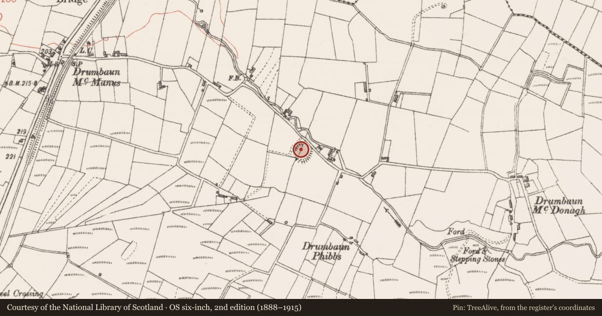 Ordnance Survey six-inch map, 2nd edition (1888–1915) covering the location of Ringfort - rath, Drumbaun, County Sligo, with a pin at the register's coordinates
