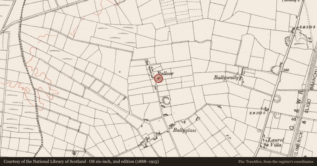 Ordnance Survey six-inch map, 2nd edition (1888–1915) covering the location of Ringfort - rath, Bunnacranagh, County Sligo, with a pin at the register's coordinates