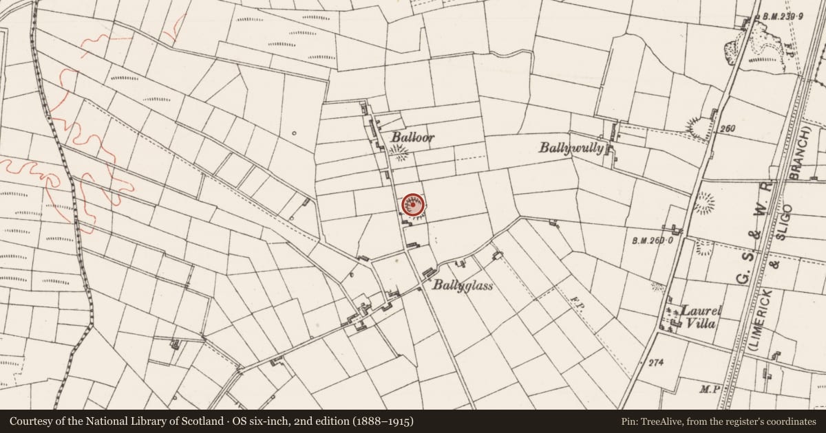 Ordnance Survey six-inch map, 2nd edition (1888–1915) covering the location of Ringfort - cashel, Bunnacranagh, County Sligo, with a pin at the register's coordinates