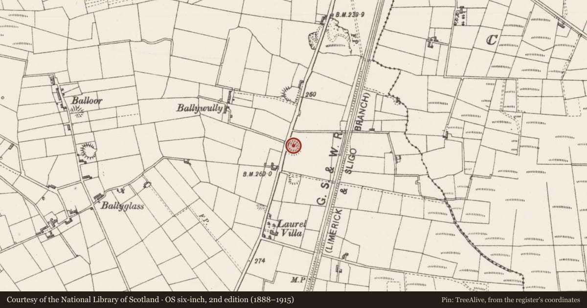 Ordnance Survey six-inch map, 2nd edition (1888–1915) covering the location of Ringfort - rath, Bunnacranagh, County Sligo, with a pin at the register's coordinates