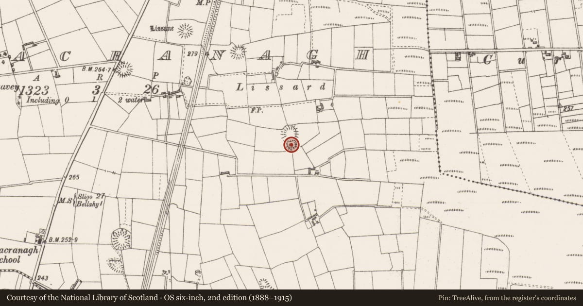 Ordnance Survey six-inch map, 2nd edition (1888–1915) covering the location of Ringfort - rath, Bunnacranagh, County Sligo, with a pin at the register's coordinates