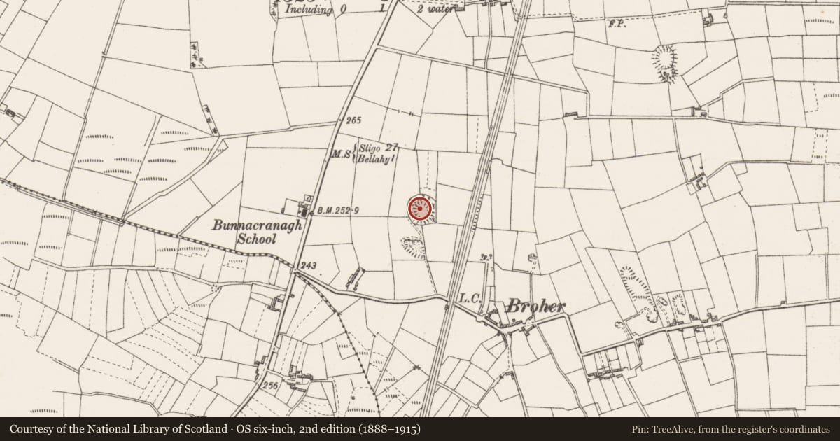 Ordnance Survey six-inch map, 2nd edition (1888–1915) covering the location of Ringfort - rath, Bunnacranagh, County Sligo, with a pin at the register's coordinates