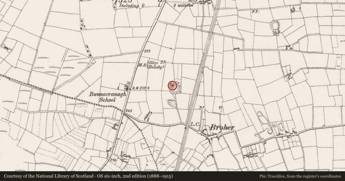 Ordnance Survey six-inch map, 2nd edition (1888–1915) covering the location of Souterrain, Bunnacranagh, County Sligo, with a pin at the register's coordinates