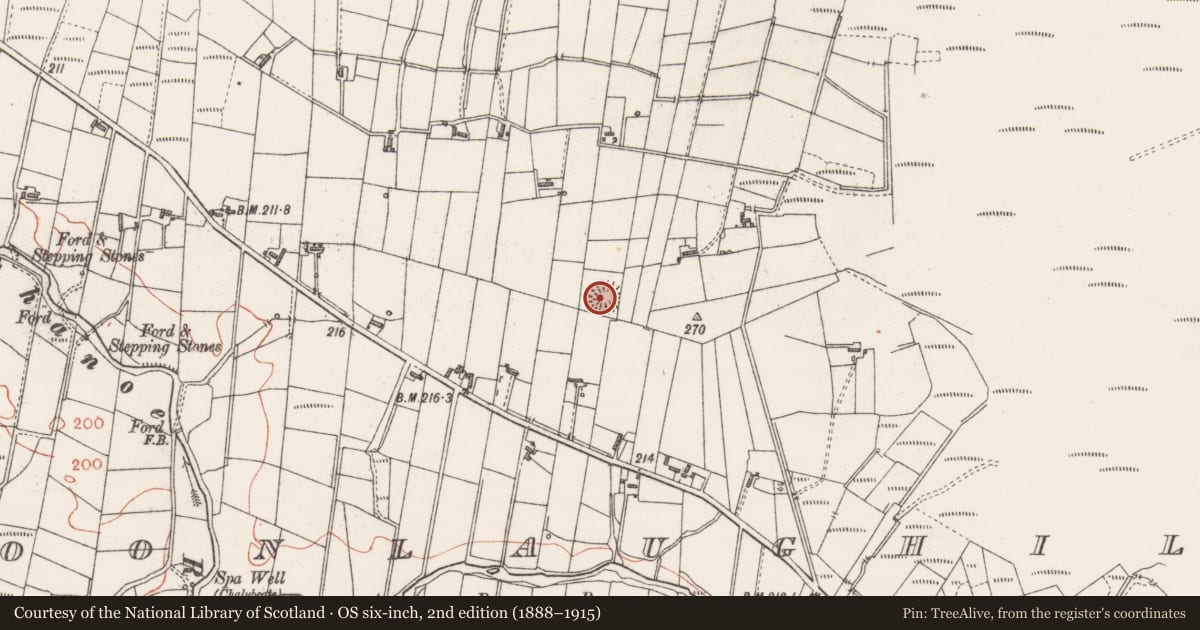 Ordnance Survey six-inch map, 2nd edition (1888–1915) covering the location of Ringfort - rath, Cloonlaughil, County Sligo, with a pin at the register's coordinates