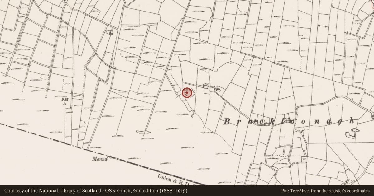 Ordnance Survey six-inch map, 2nd edition (1888–1915) covering the location of Ringfort - rath, Cloonlaughil, County Sligo, with a pin at the register's coordinates