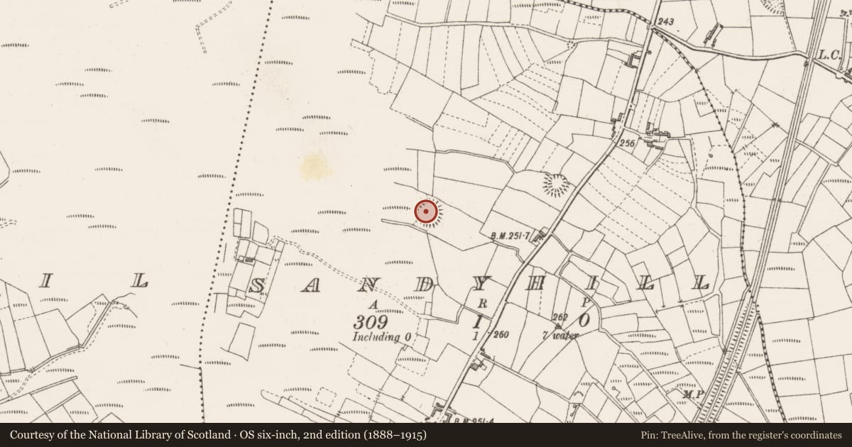 Ordnance Survey six-inch map, 2nd edition (1888–1915) covering the location of Ringfort - rath, Sandyhill, County Sligo, with a pin at the register's coordinates