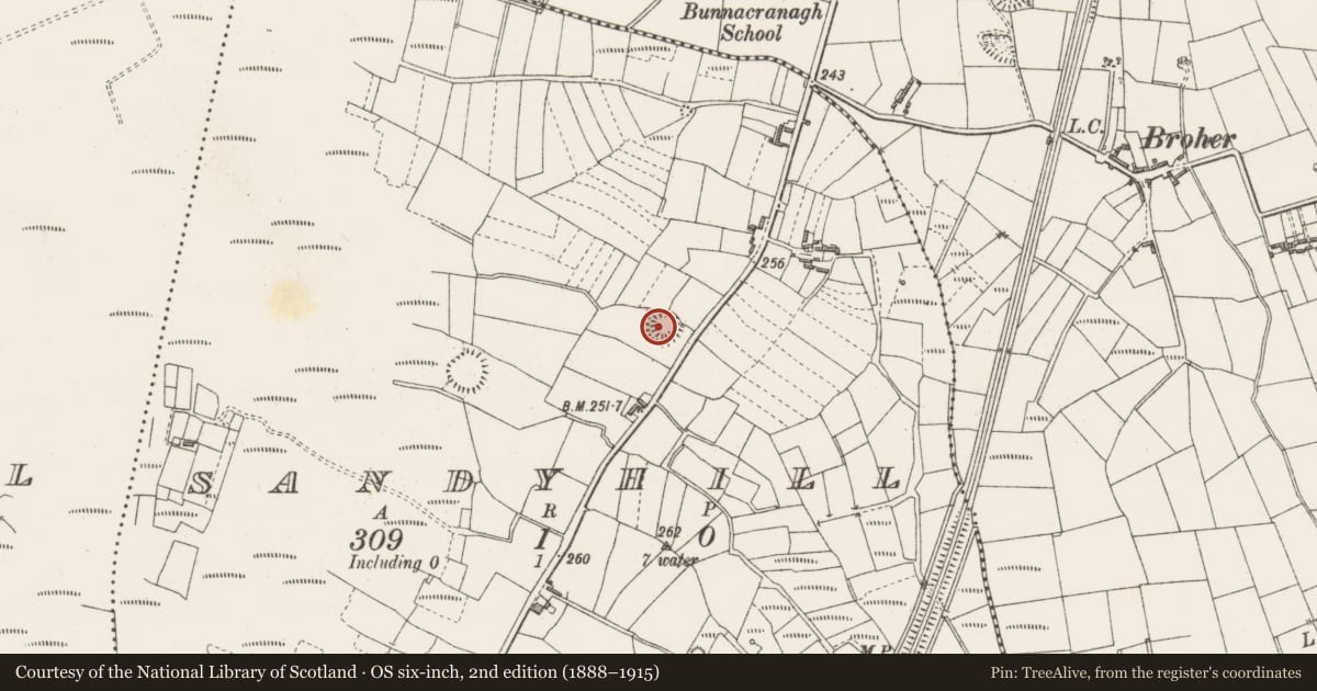 Ordnance Survey six-inch map, 2nd edition (1888–1915) covering the location of Ringfort - rath, Sandyhill, County Sligo, with a pin at the register's coordinates