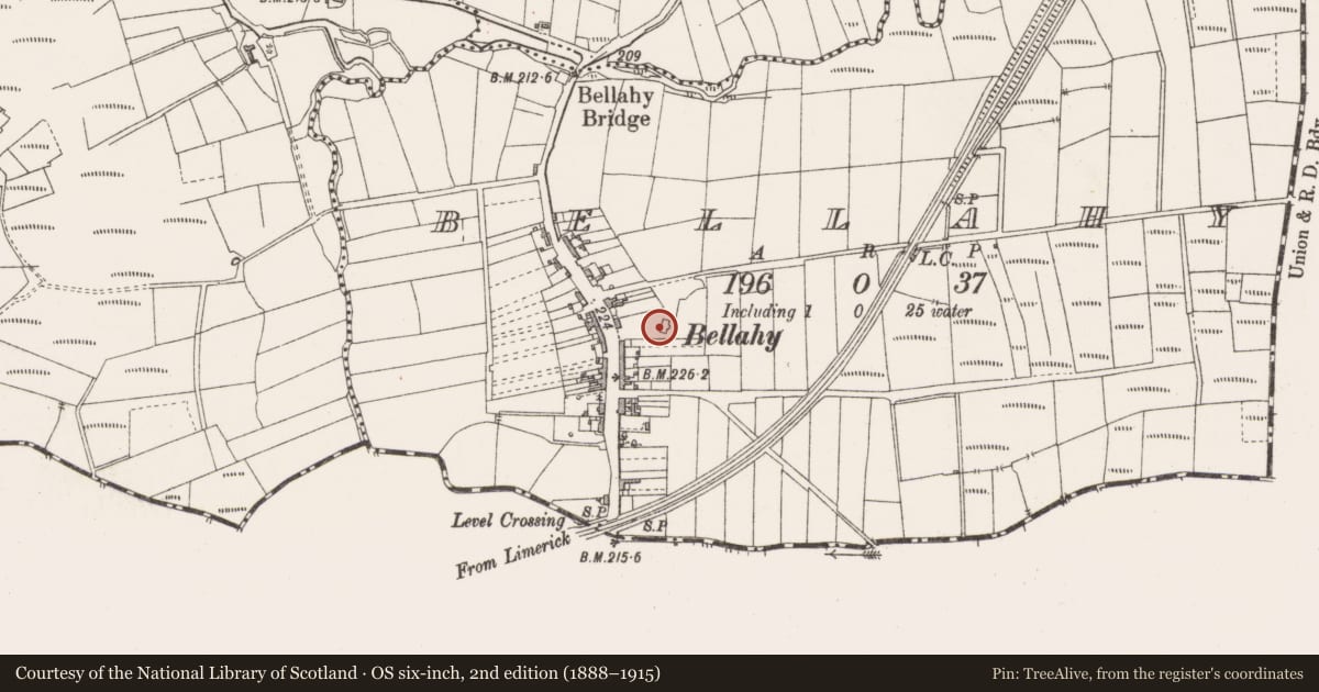 Ordnance Survey six-inch map, 2nd edition (1888–1915) covering the location of Bastioned fort, Bellahy, County Sligo, with a pin at the register's coordinates