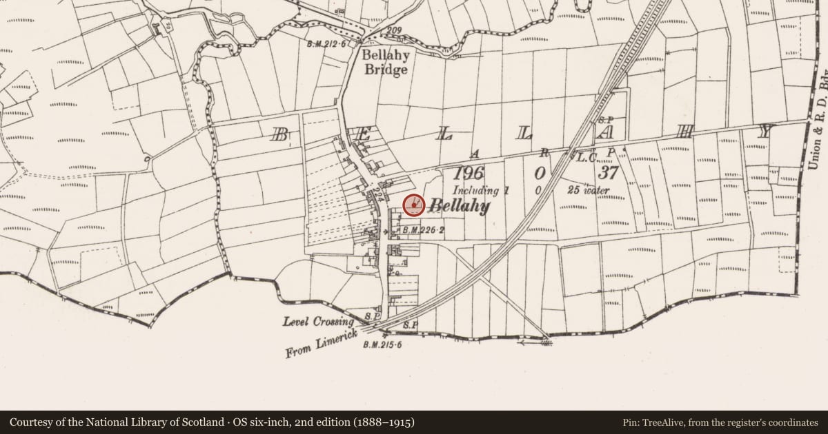 Ordnance Survey six-inch map, 2nd edition (1888–1915) covering the location of Church, Bellahy, County Sligo, with a pin at the register's coordinates
