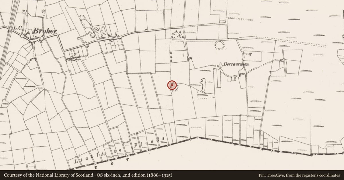 Ordnance Survey six-inch map, 2nd edition (1888–1915) covering the location of Ringfort - rath, Bunnacranagh, County Sligo, with a pin at the register's coordinates