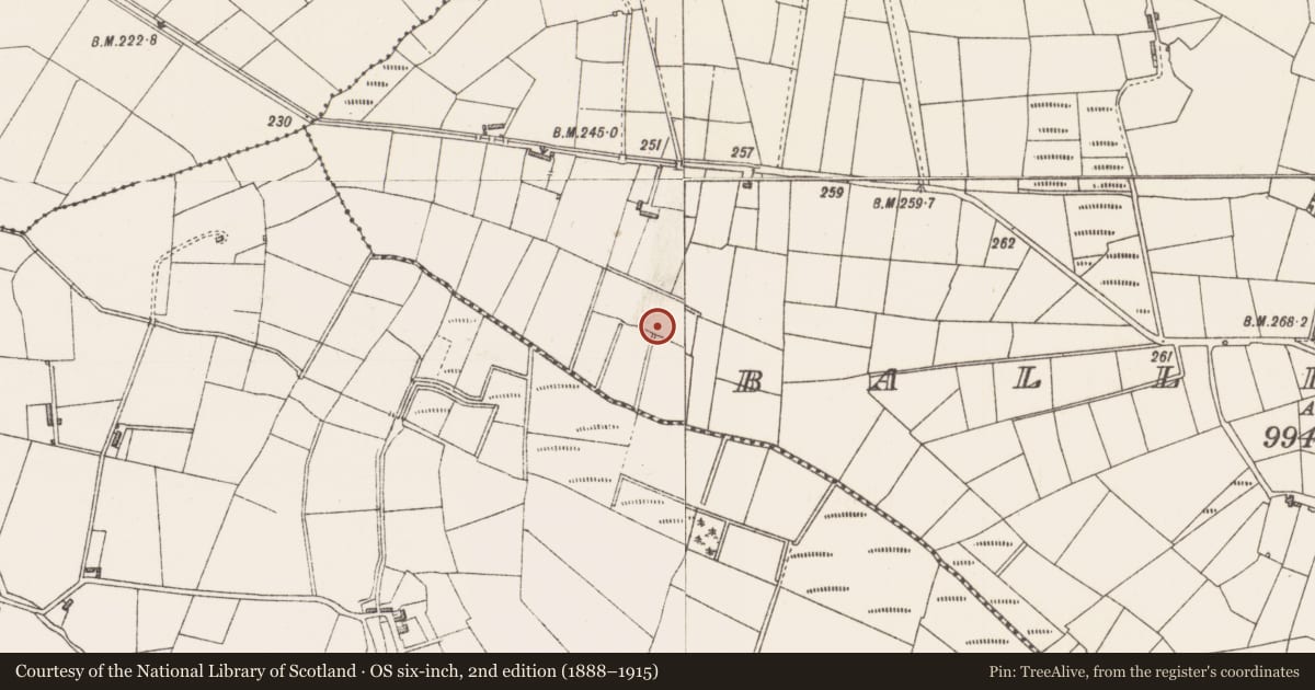 Ordnance Survey six-inch map, 2nd edition (1888–1915) covering the location of Fulacht fia, Ballincurry, County Sligo, with a pin at the register's coordinates