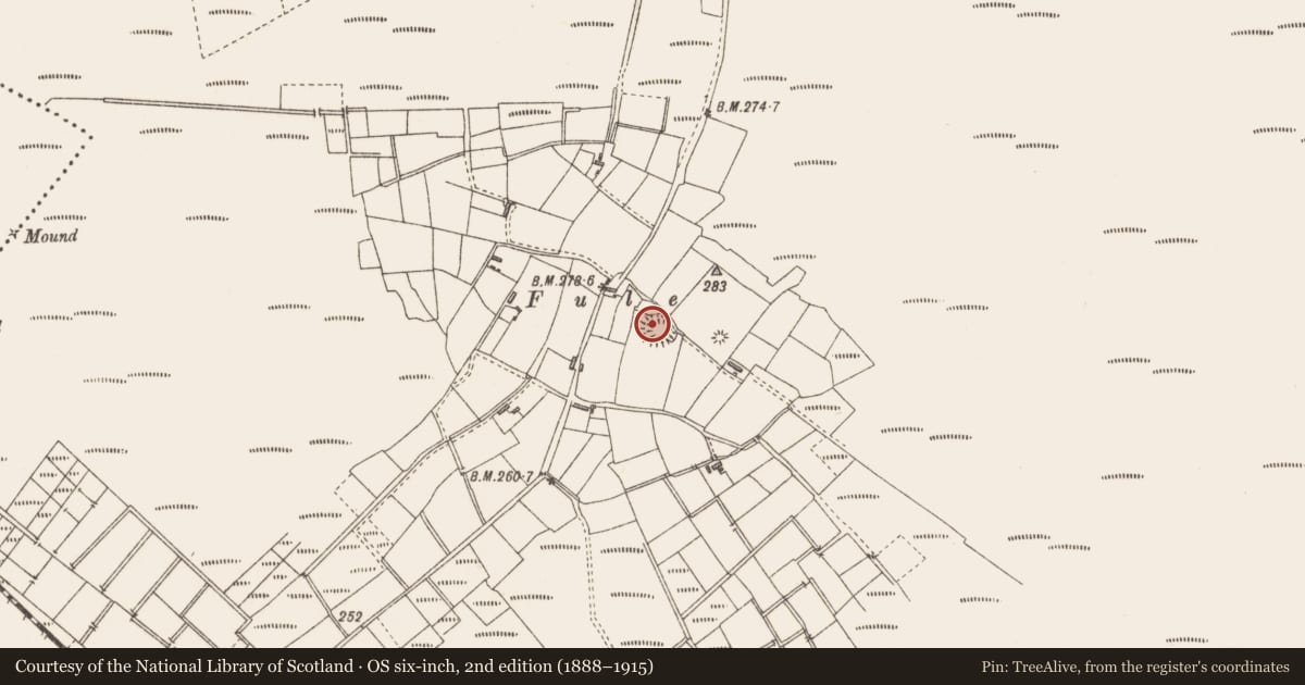 Ordnance Survey six-inch map, 2nd edition (1888–1915) covering the location of Ringfort - rath, Drumbaun, County Sligo, with a pin at the register's coordinates