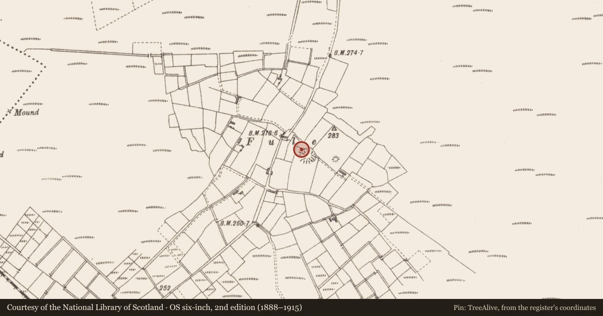 Ordnance Survey six-inch map, 2nd edition (1888–1915) covering the location of Souterrain, Drumbaun, County Sligo, with a pin at the register's coordinates