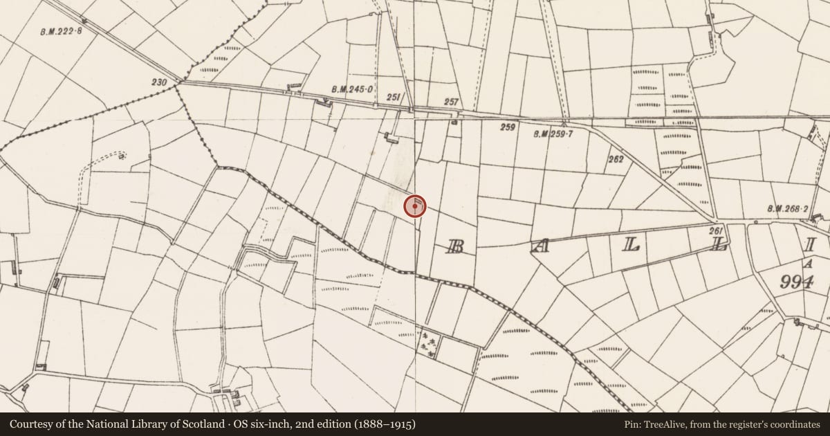 Ordnance Survey six-inch map, 2nd edition (1888–1915) covering the location of Fulacht fia, Ballincurry, County Sligo, with a pin at the register's coordinates