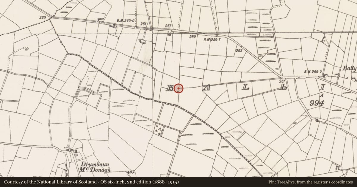 Ordnance Survey six-inch map, 2nd edition (1888–1915) covering the location of Burnt mound, Ballincurry, County Sligo, with a pin at the register's coordinates