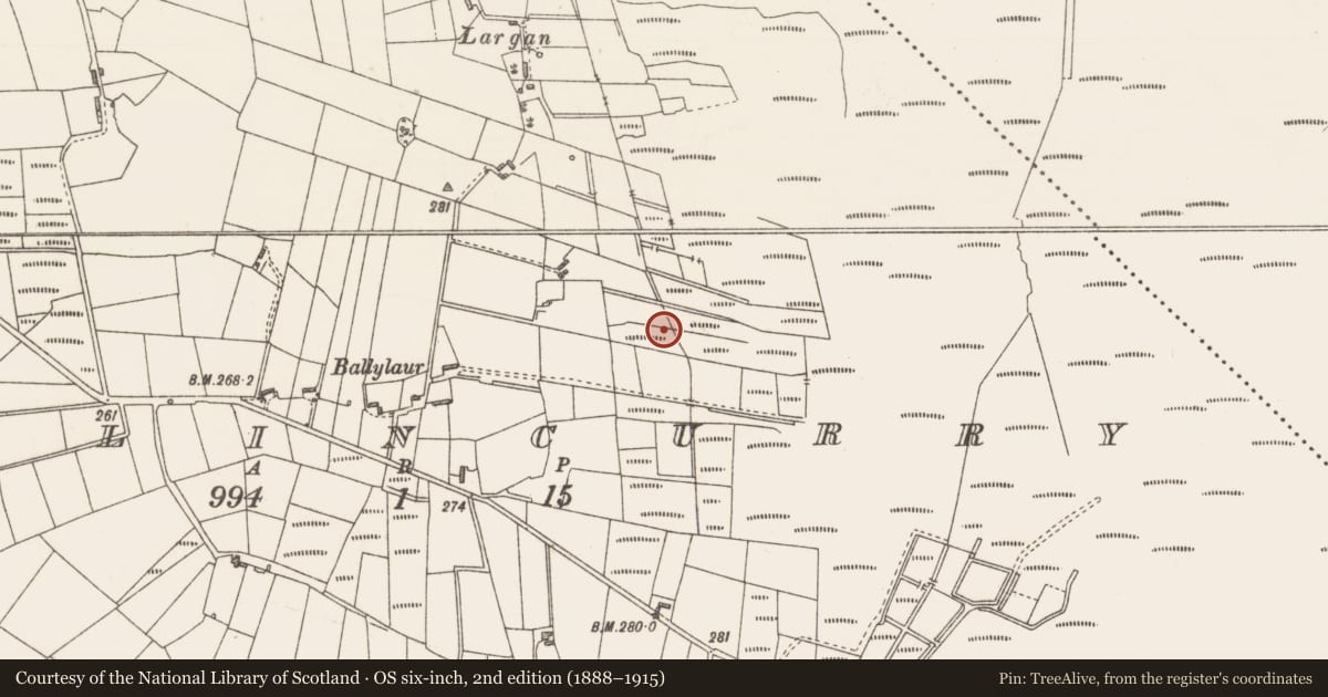 Ordnance Survey six-inch map, 2nd edition (1888–1915) covering the location of Fulacht fia, Ballincurry, County Sligo, with a pin at the register's coordinates