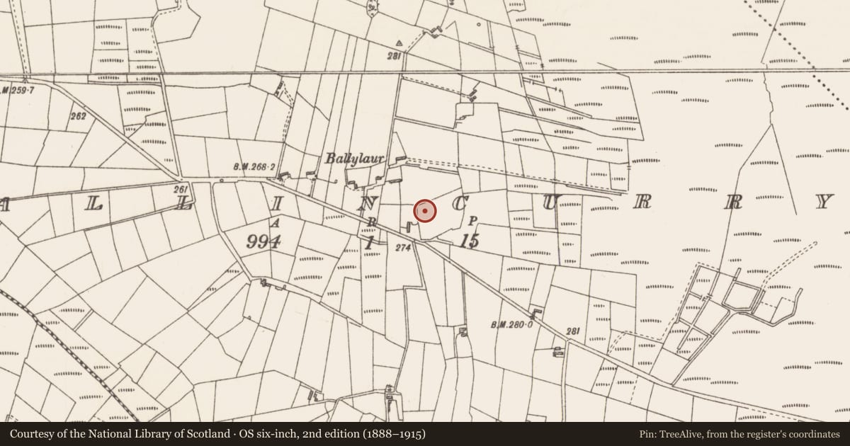 Ordnance Survey six-inch map, 2nd edition (1888–1915) covering the location of Children's burial ground, Ballincurry, County Sligo, with a pin at the register's coordinates
