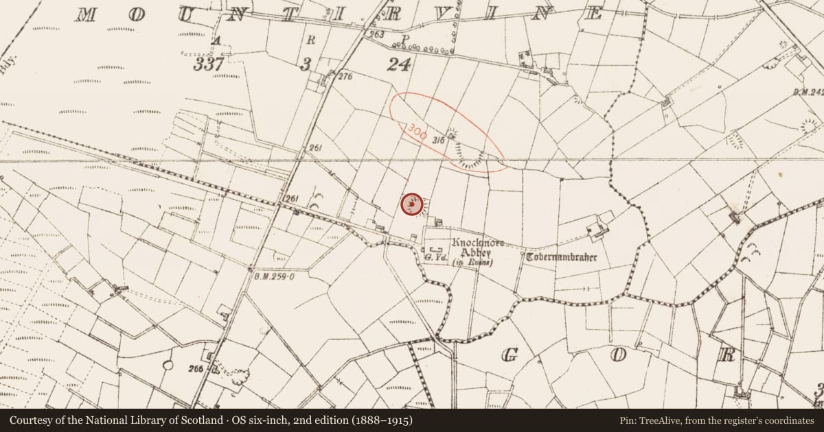 Ordnance Survey six-inch map, 2nd edition (1888–1915) covering the location of Ringfort - rath, Mountirvine, County Sligo, with a pin at the register's coordinates