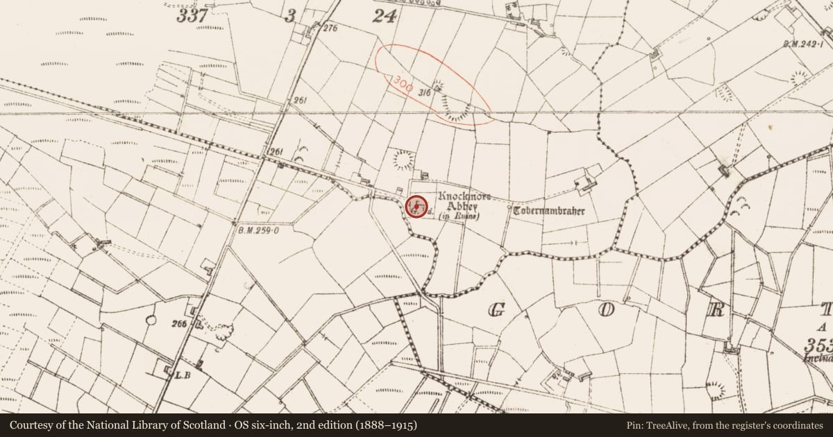 Ordnance Survey six-inch map, 2nd edition (1888–1915) covering the location of Cross-slab, Mountirvine, County Sligo, with a pin at the register's coordinates