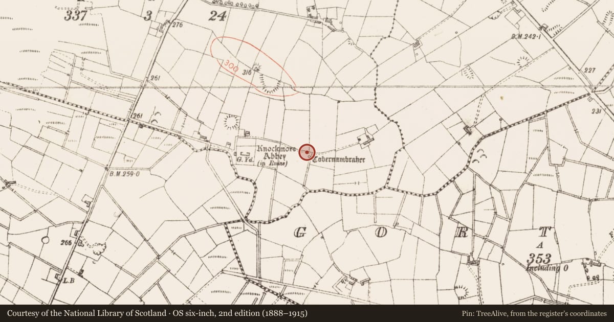 Ordnance Survey six-inch map, 2nd edition (1888–1915) covering the location of Ritual site - holy well, Mountirvine, County Sligo, with a pin at the register's coordinates