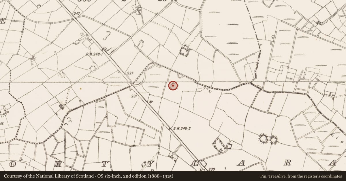 Ordnance Survey six-inch map, 2nd edition (1888–1915) covering the location of Ringfort - rath, Gortygara, County Sligo, with a pin at the register's coordinates