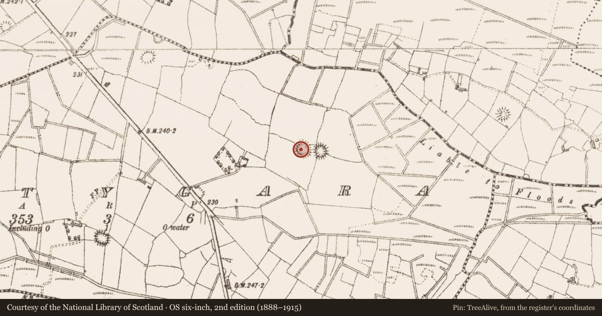 Ordnance Survey six-inch map, 2nd edition (1888–1915) covering the location of Ringfort - rath, Gortygara, County Sligo, with a pin at the register's coordinates