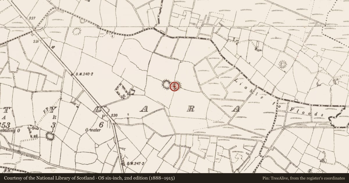 Ordnance Survey six-inch map, 2nd edition (1888–1915) covering the location of Ringfort - rath, Gortygara, County Sligo, with a pin at the register's coordinates