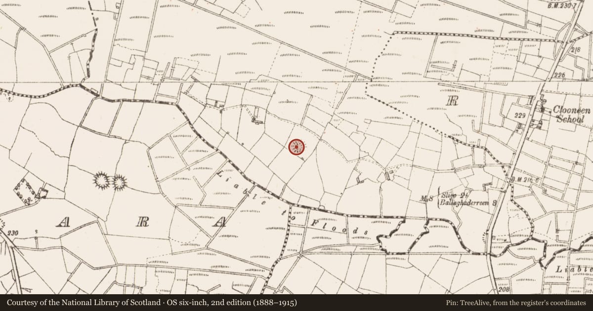 Ordnance Survey six-inch map, 2nd edition (1888–1915) covering the location of Ringfort - rath, Kilshalvy, County Sligo, with a pin at the register's coordinates