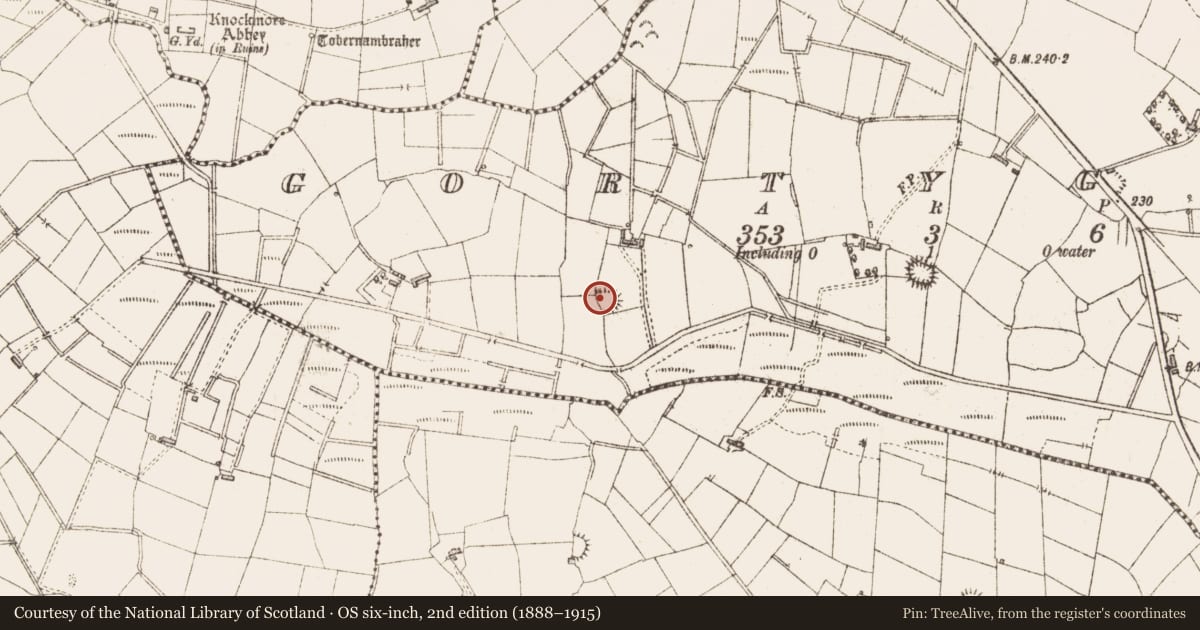 Ordnance Survey six-inch map, 2nd edition (1888–1915) covering the location of Ringfort - rath, Gortygara, County Sligo, with a pin at the register's coordinates