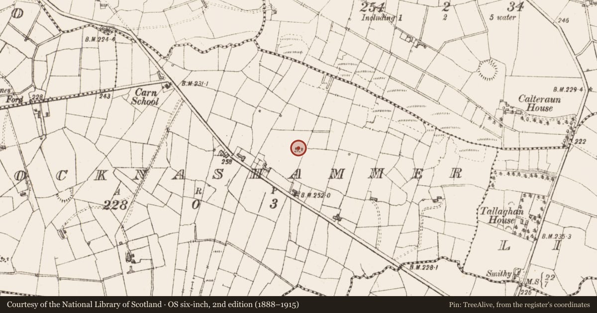 Ordnance Survey six-inch map, 2nd edition (1888–1915) covering the location of Ringfort - rath, Knocknashammer, County Sligo, with a pin at the register's coordinates