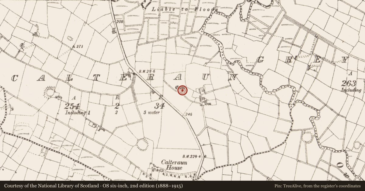 Ordnance Survey six-inch map, 2nd edition (1888–1915) covering the location of Souterrain, Calteraun, County Sligo, with a pin at the register's coordinates