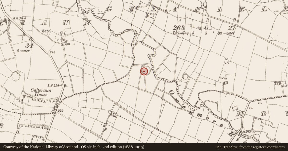 Ordnance Survey six-inch map, 2nd edition (1888–1915) covering the location of Ringfort - rath, Lisbaleely, County Sligo, with a pin at the register's coordinates