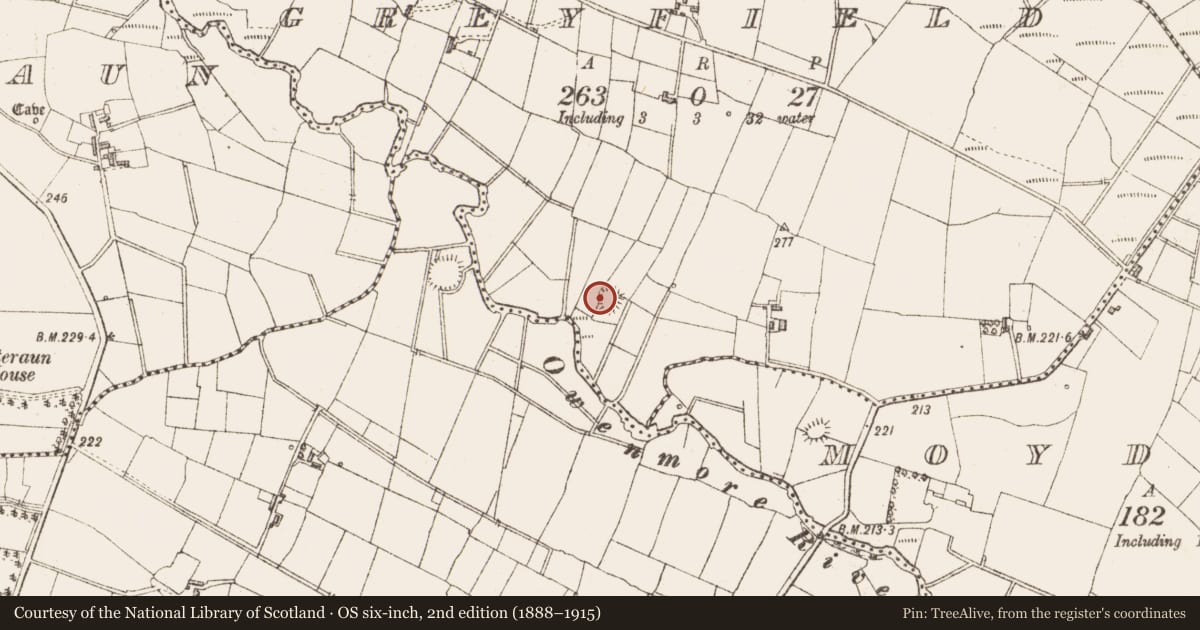 Ordnance Survey six-inch map, 2nd edition (1888–1915) covering the location of Ringfort - rath, Greyfield, County Sligo, with a pin at the register's coordinates