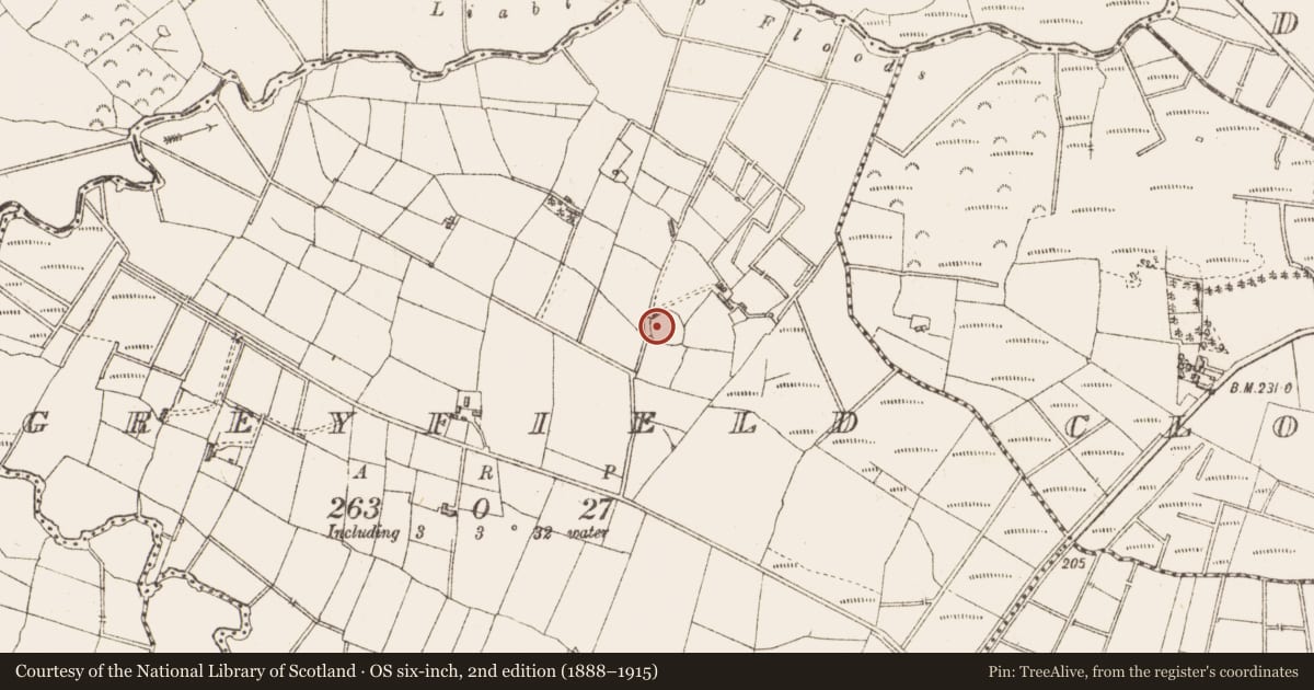 Ordnance Survey six-inch map, 2nd edition (1888–1915) covering the location of Ringfort - rath, Greyfield, County Sligo, with a pin at the register's coordinates