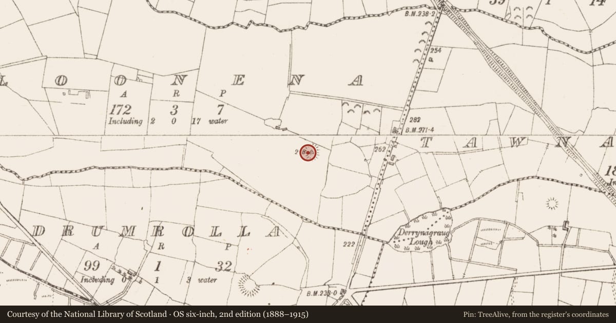 Ordnance Survey six-inch map, 2nd edition (1888–1915) covering the location of Ringfort - rath, Cloonena, County Sligo, with a pin at the register's coordinates