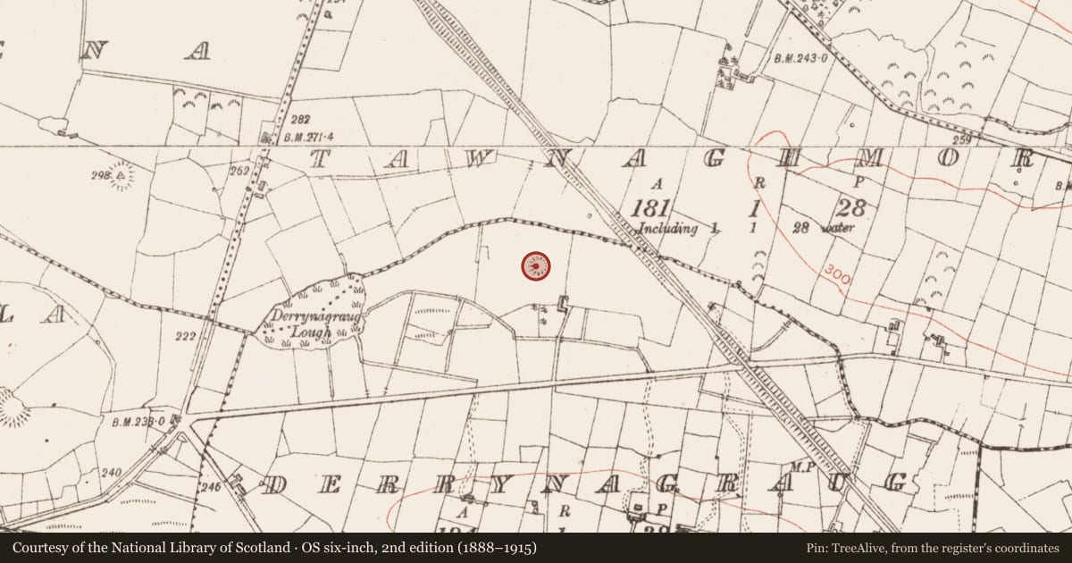 Ordnance Survey six-inch map, 2nd edition (1888–1915) covering the location of Ringfort - rath, Derrynagraug, County Sligo, with a pin at the register's coordinates