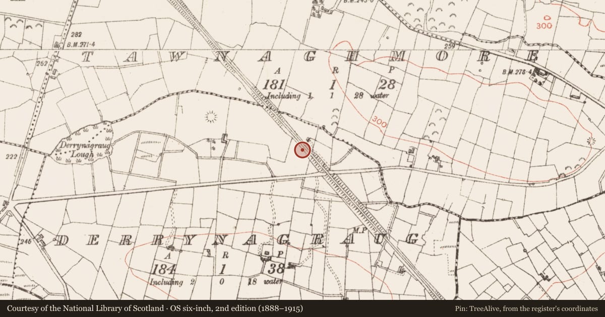 Ordnance Survey six-inch map, 2nd edition (1888–1915) covering the location of Enclosure, Derrynagraug, County Sligo, with a pin at the register's coordinates