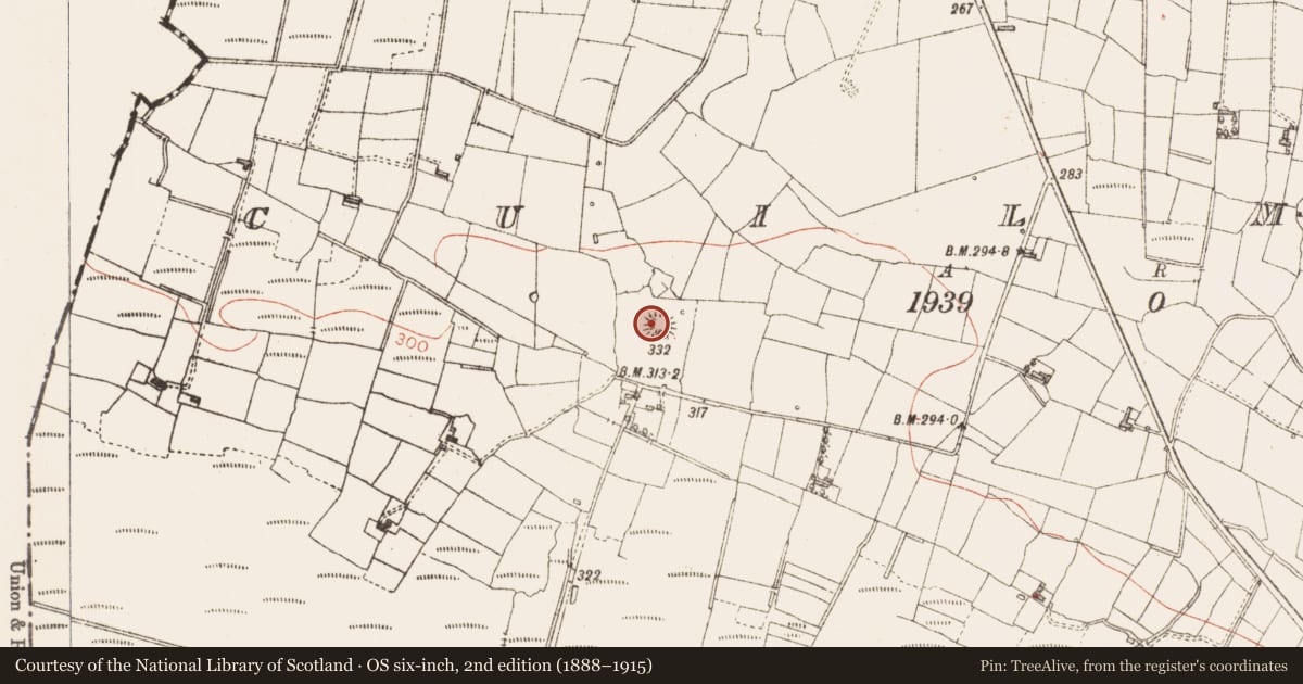 Ordnance Survey six-inch map, 2nd edition (1888–1915) covering the location of Ringfort - rath, Cuilmore, County Sligo, with a pin at the register's coordinates