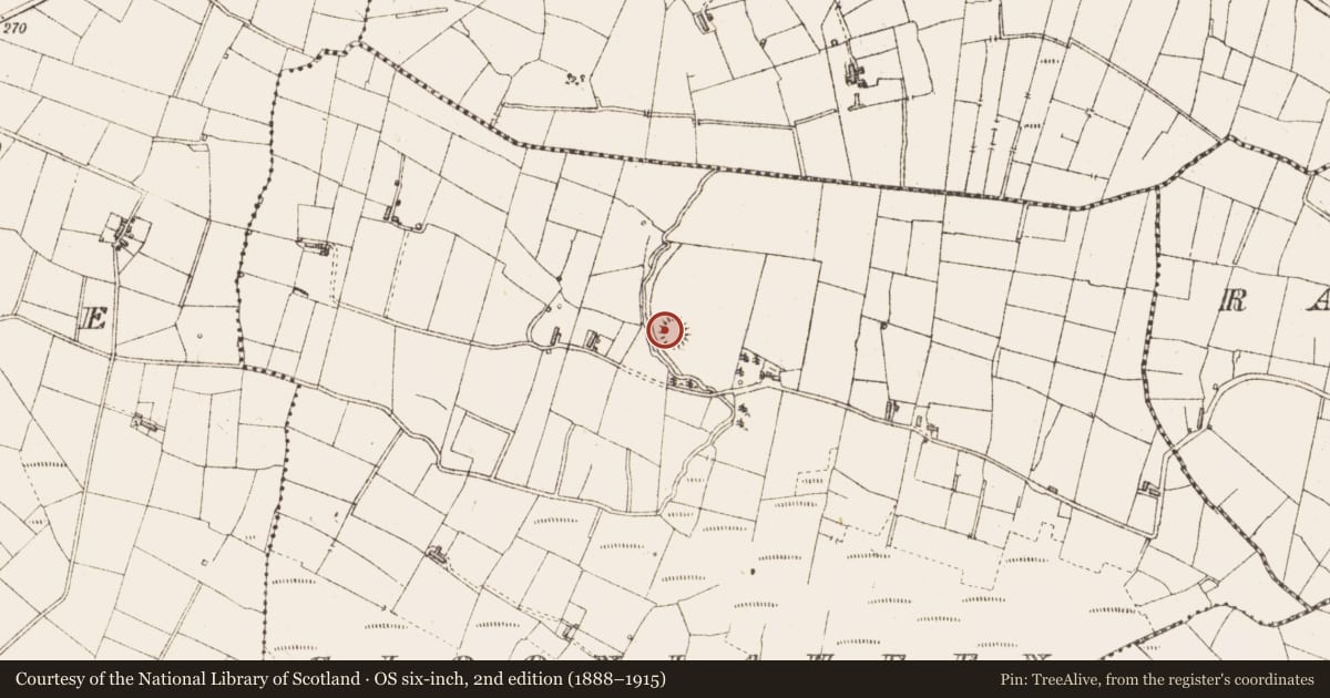 Ordnance Survey six-inch map, 2nd edition (1888–1915) covering the location of Enclosure, Cloonlaheen, County Sligo, with a pin at the register's coordinates
