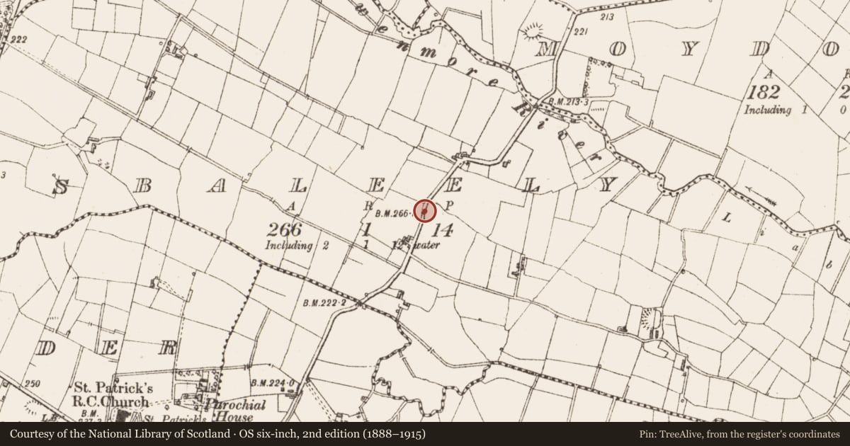 Ordnance Survey six-inch map, 2nd edition (1888–1915) covering the location of Ringfort - rath, Lisbaleely, County Sligo, with a pin at the register's coordinates