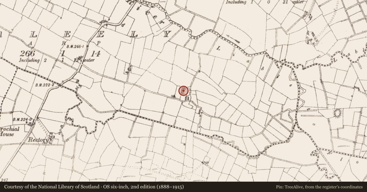 Ordnance Survey six-inch map, 2nd edition (1888–1915) covering the location of Ringfort - rath, Lisbaleely, County Sligo, with a pin at the register's coordinates