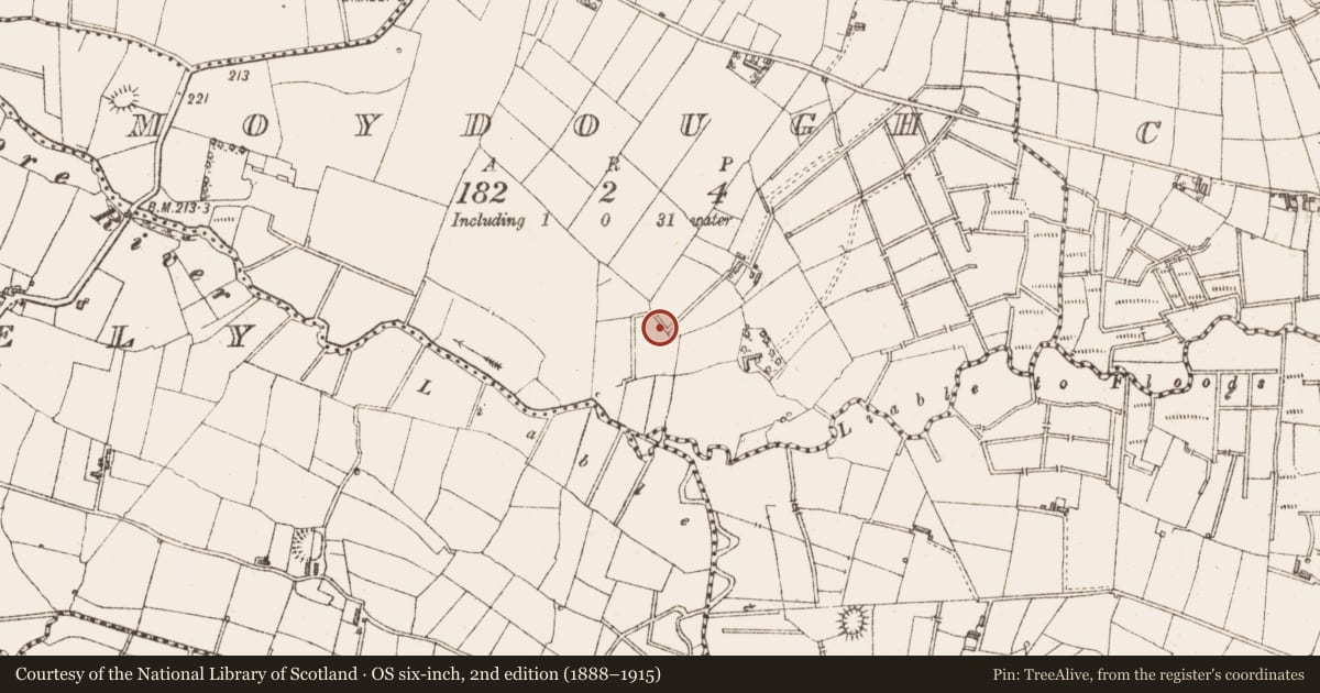 Ordnance Survey six-inch map, 2nd edition (1888–1915) covering the location of Enclosure, Moydough, County Sligo, with a pin at the register's coordinates
