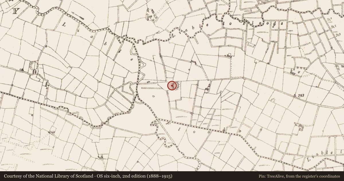 Ordnance Survey six-inch map, 2nd edition (1888–1915) covering the location of Ringfort - rath, Cloontycarn, County Sligo, with a pin at the register's coordinates