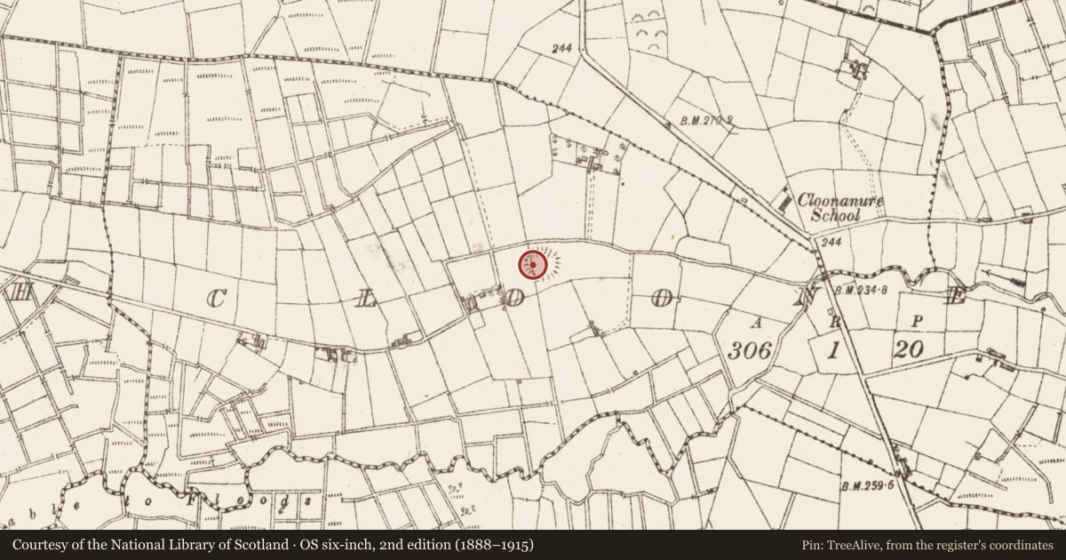 Ordnance Survey six-inch map, 2nd edition (1888–1915) covering the location of Ringfort - rath, Clooneagh, County Sligo, with a pin at the register's coordinates