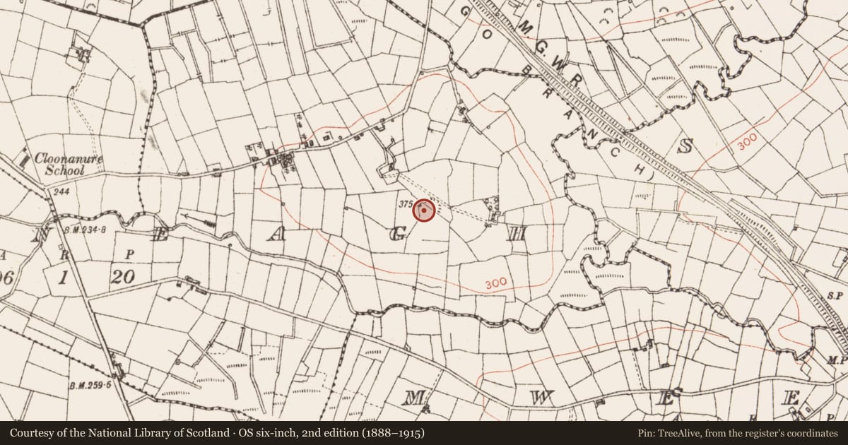 Ordnance Survey six-inch map, 2nd edition (1888–1915) covering the location of Ringfort - cashel, Clooneagh, County Sligo, with a pin at the register's coordinates