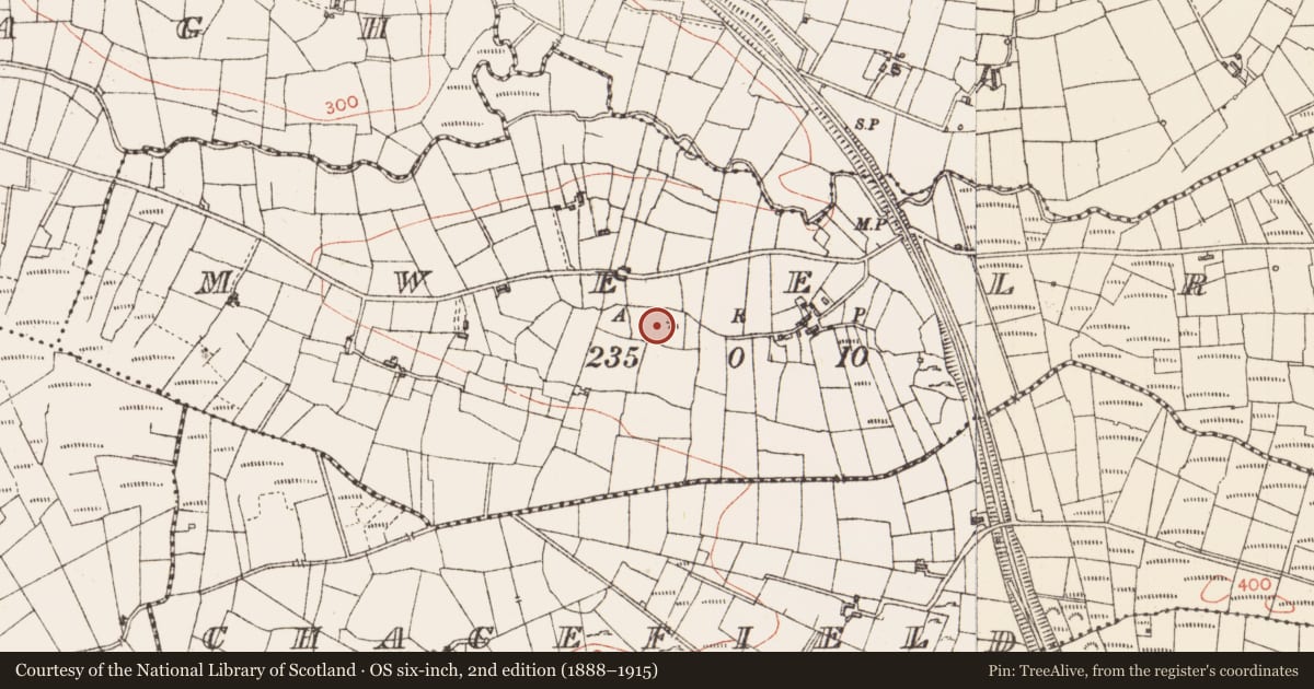 Ordnance Survey six-inch map, 2nd edition (1888–1915) covering the location of Ringfort - cashel, Mweelroe, County Sligo, with a pin at the register's coordinates