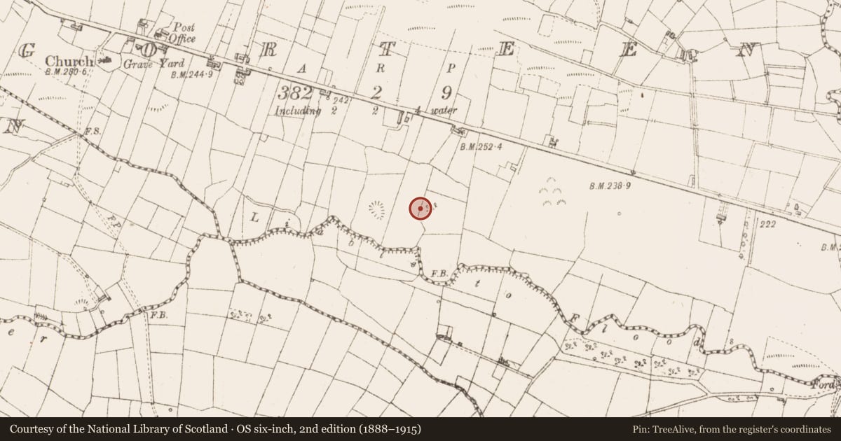 Ordnance Survey six-inch map, 2nd edition (1888–1915) covering the location of Enclosure, Gorteen, County Sligo, with a pin at the register's coordinates
