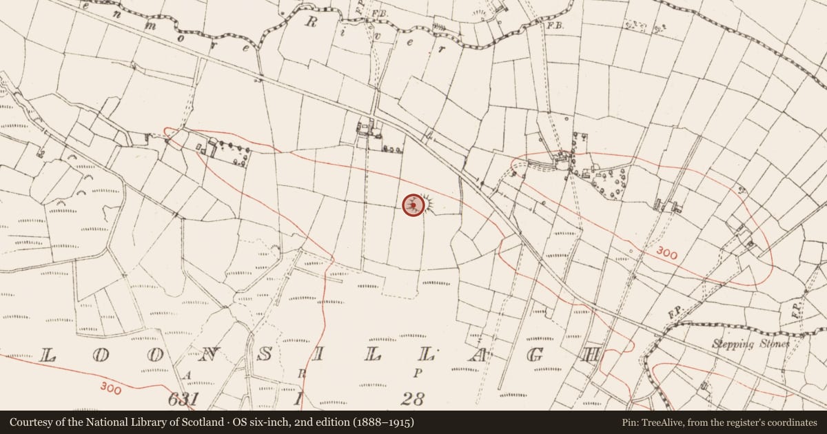 Ordnance Survey six-inch map, 2nd edition (1888–1915) covering the location of Ringfort - rath, Cloonsillagh, County Sligo, with a pin at the register's coordinates
