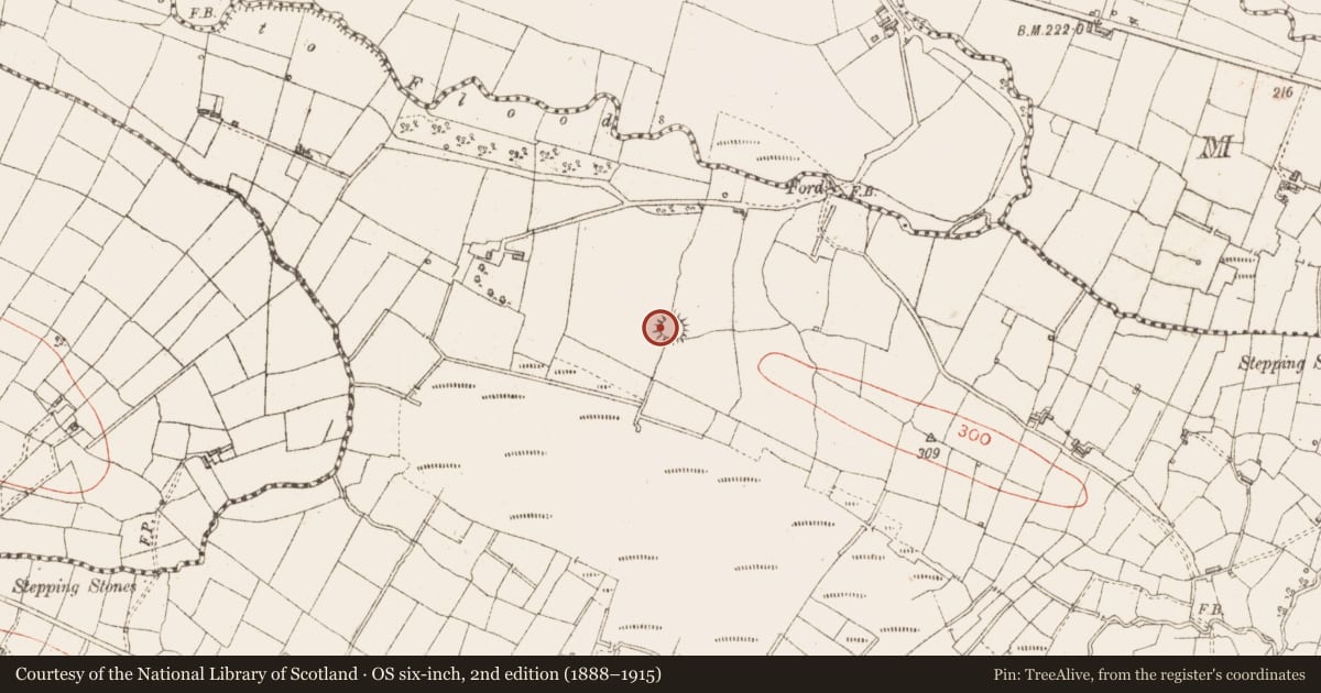 Ordnance Survey six-inch map, 2nd edition (1888–1915) covering the location of Ringfort - cashel, Moygara, County Sligo, with a pin at the register's coordinates